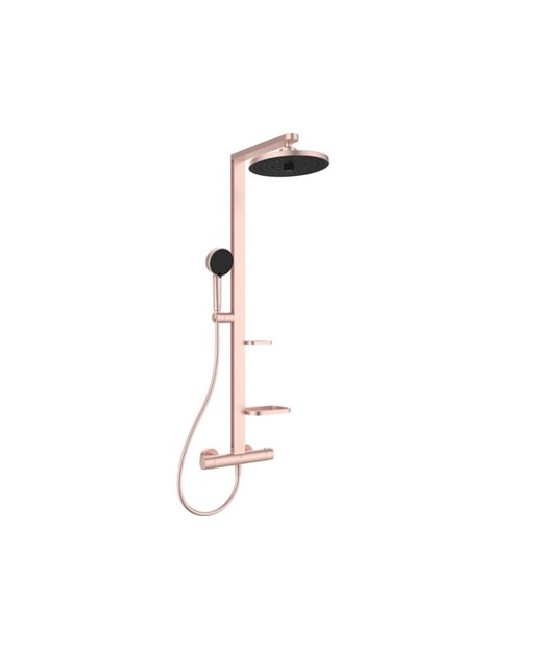 GRAN DUCHA CERATHERM ALU + 260 MM ROSÉ Termostática + Columna fija